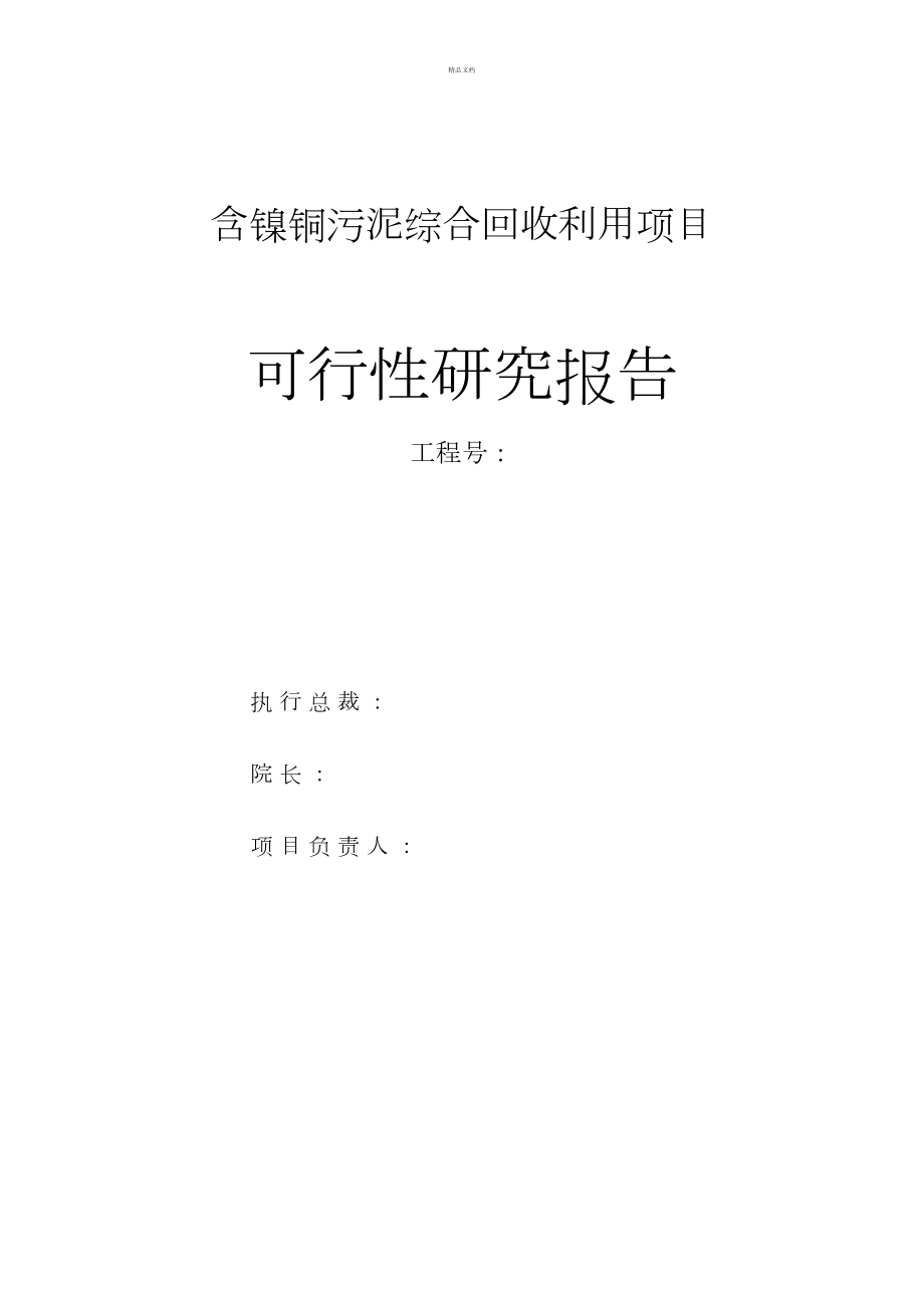 含镍钴铜锌污泥综合回收项目可行性研究报告.docx_第1页