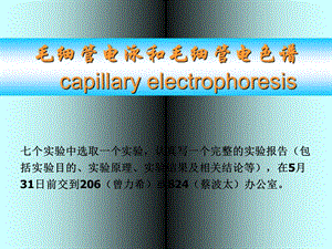 毛细管电泳和毛细管电色谱.ppt