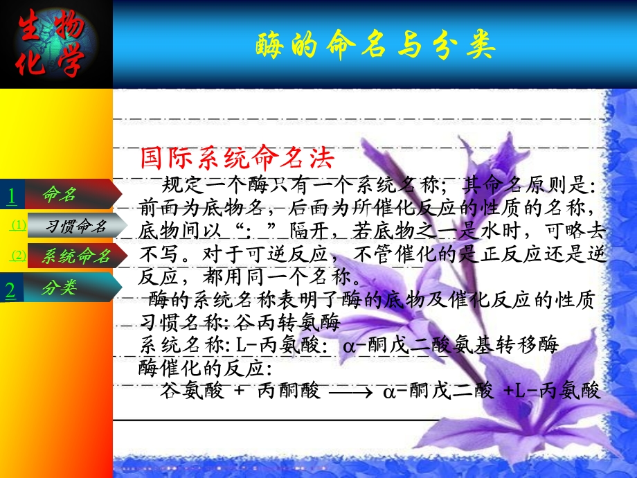 酶的分类与命名.ppt_第3页