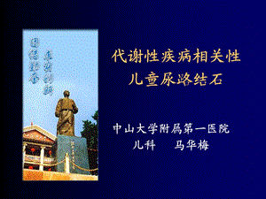 肾结石业务学习.ppt