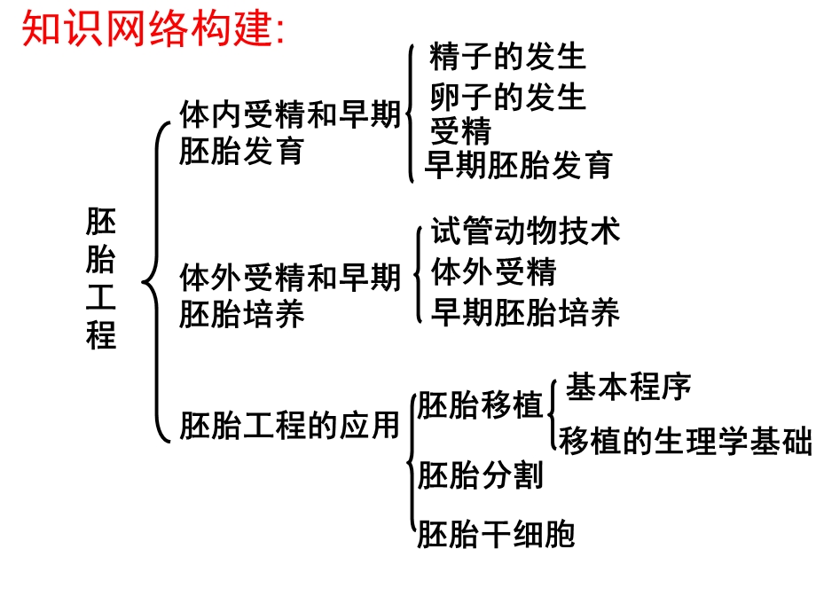 胚胎工程复习.ppt_第2页