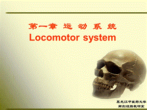 正常人体解剖学第一节骨学.ppt