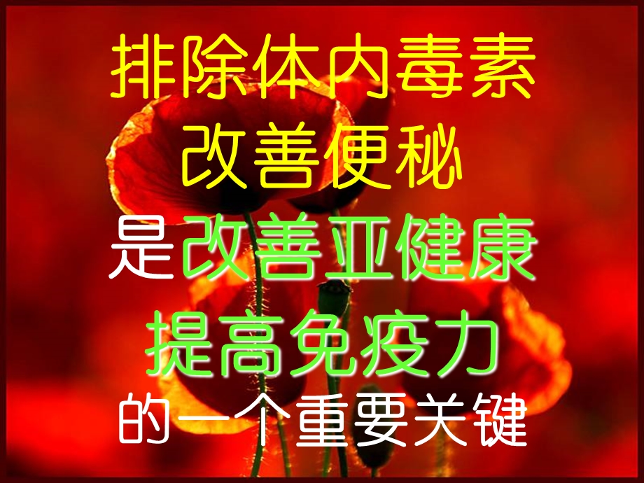 肠道保健的三驾马车下.ppt_第2页