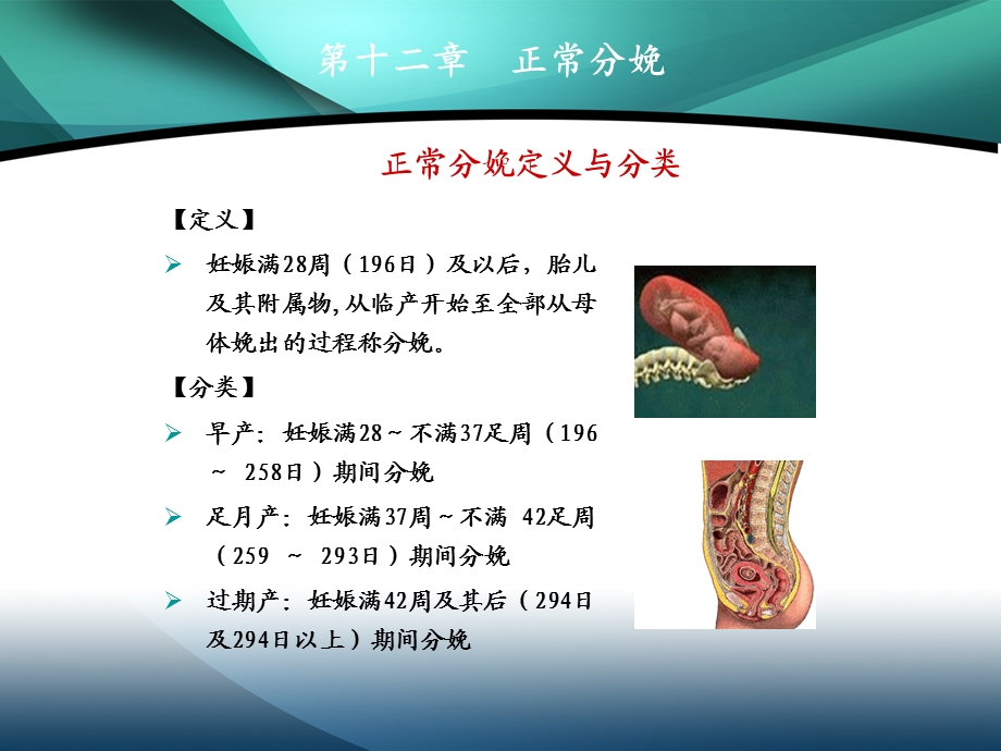 八年制正常分娩.ppt_第3页