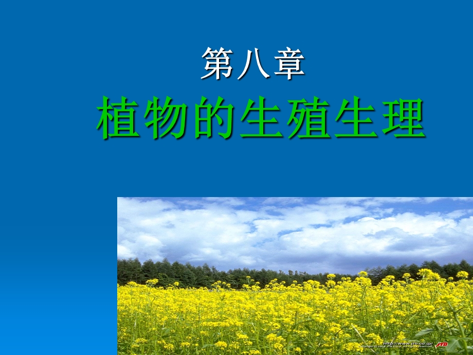 植物的生殖生理课件.ppt_第1页