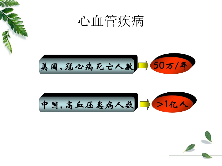 心力衰竭病理学教研室.ppt_第2页