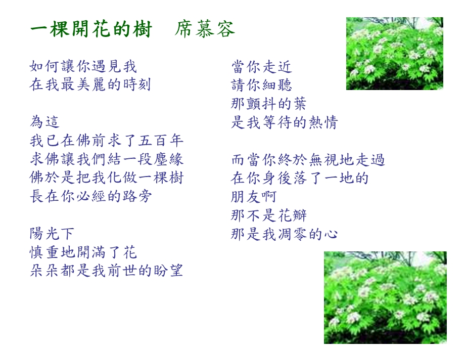 相思的迷思.ppt_第3页