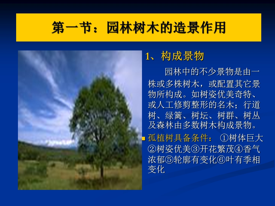 园林树木的园林应用.ppt_第2页