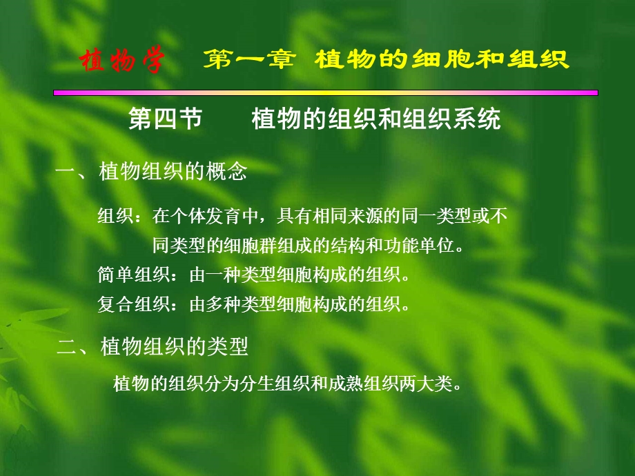 植物的细胞和组织第4节.ppt_第1页