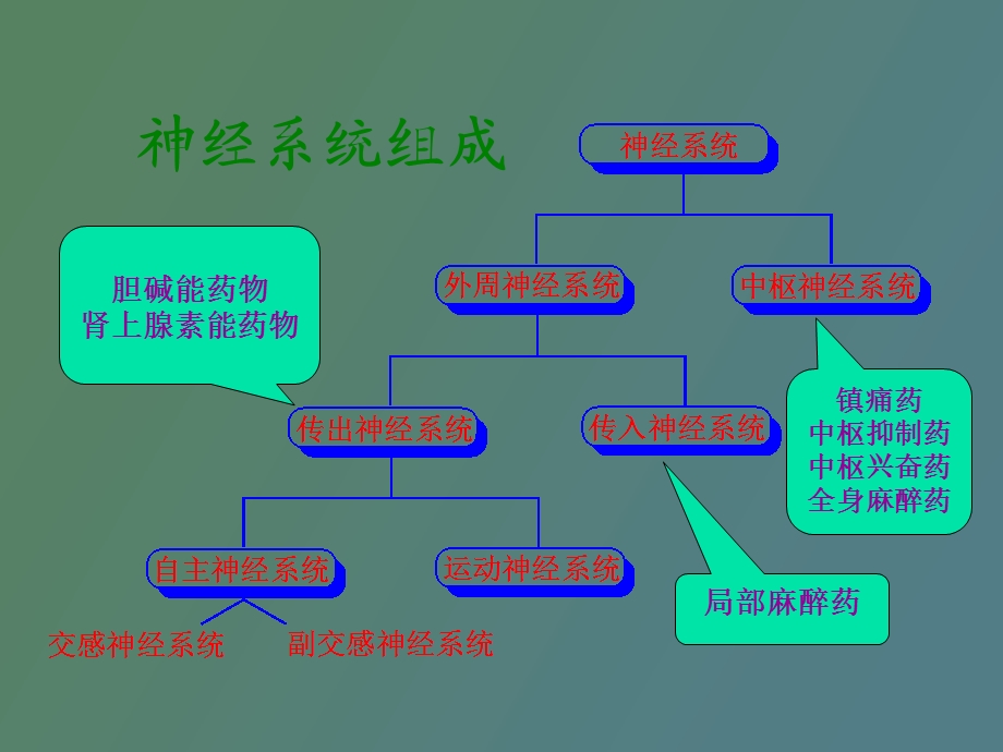 周围神经组成.ppt_第1页