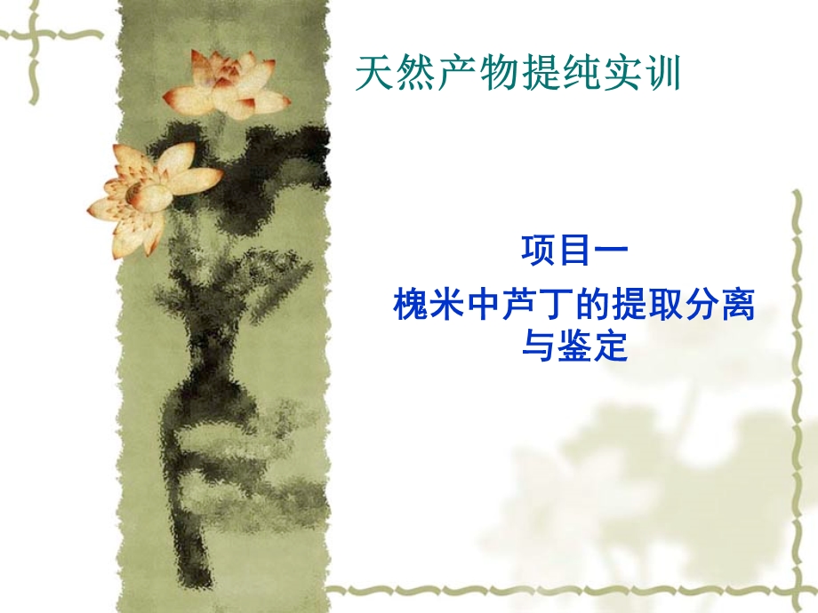 槐米中芦丁的提取分离与鉴定.ppt_第1页