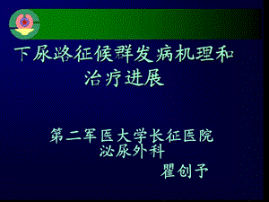 排尿功能障碍性疾患治疗.ppt