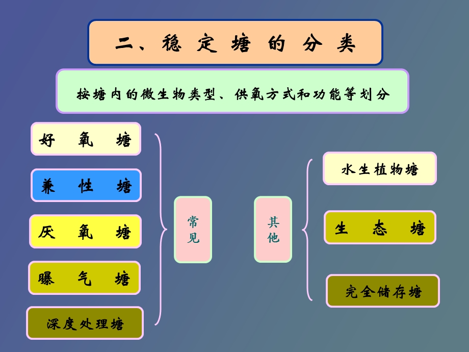 污水生态工程技术.ppt_第3页