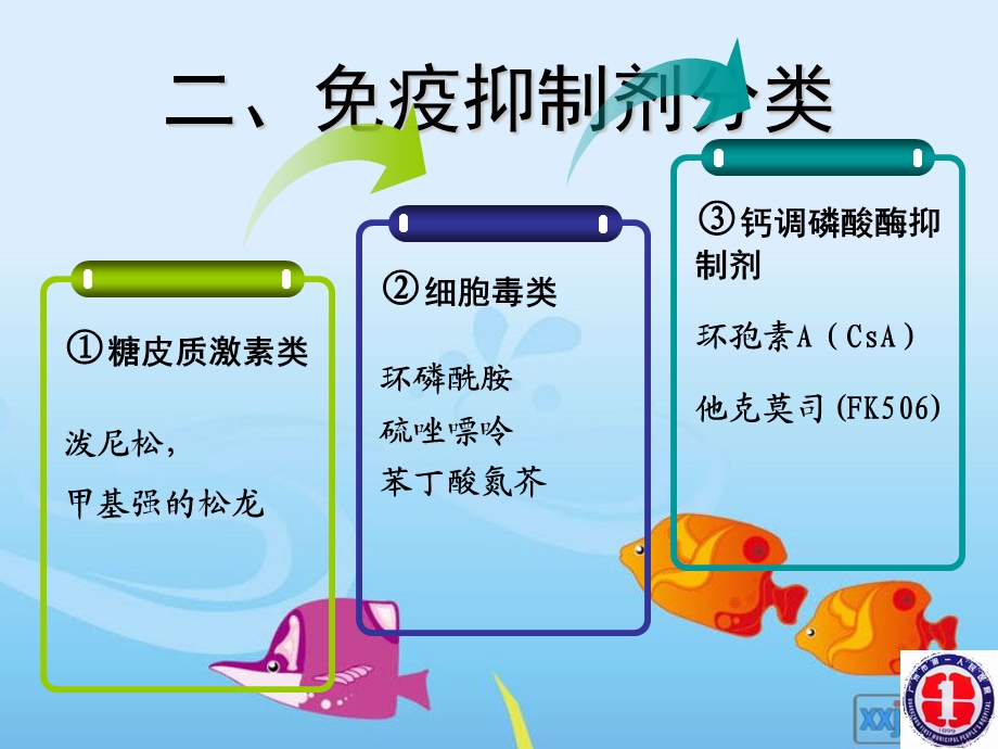 免疫抑制剂在肾病中的应用.ppt_第2页