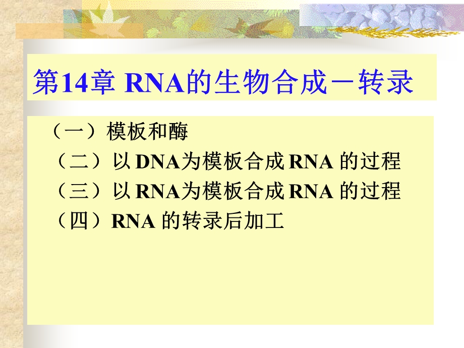 核酸的生物学功能.ppt_第1页