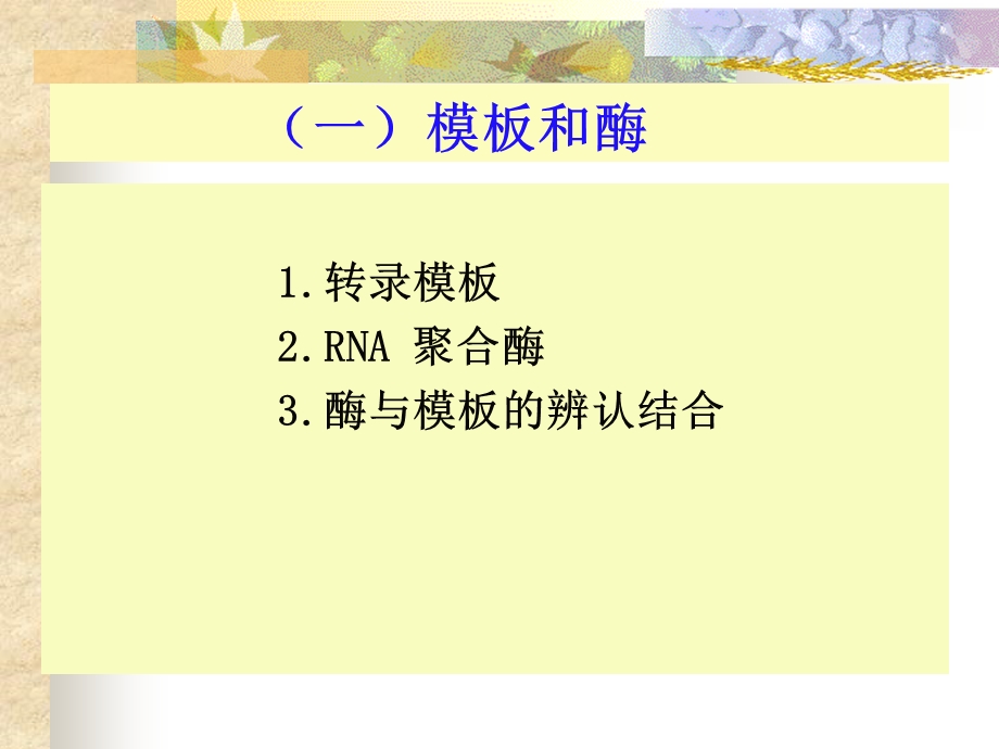 核酸的生物学功能.ppt_第2页