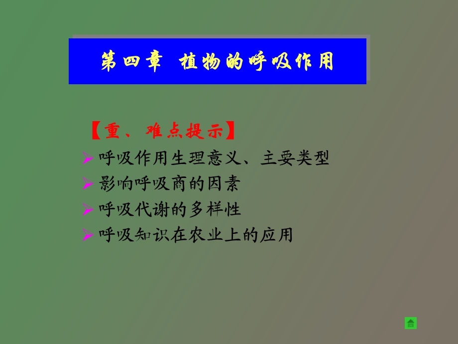 植物呼吸作用.ppt_第2页