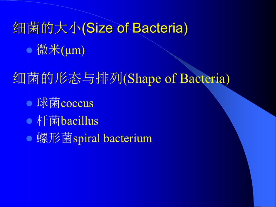 细菌ppt课件.ppt_第2页