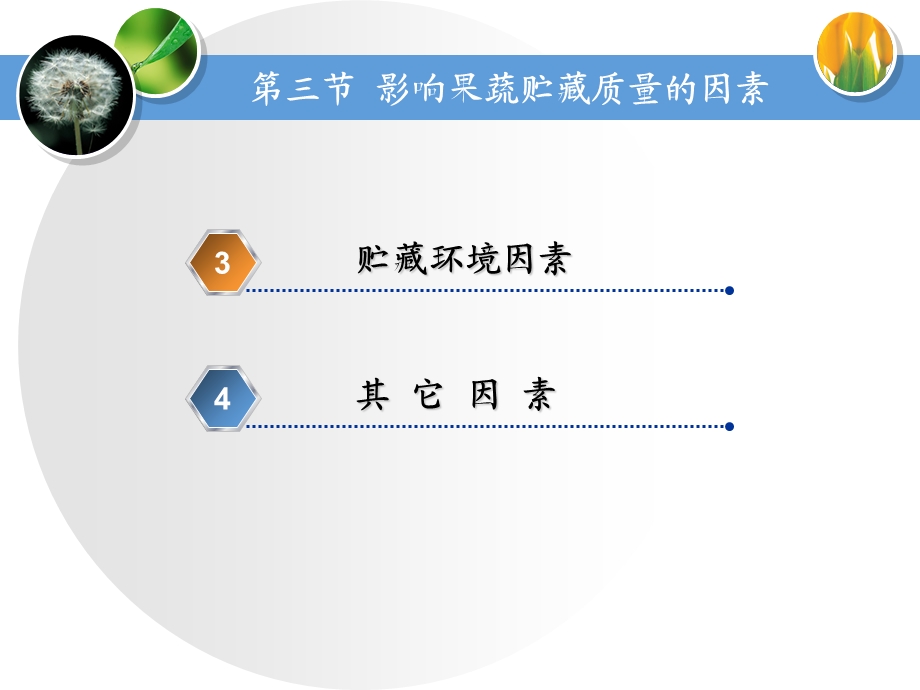 影响果蔬贮藏质量的因素下.ppt_第3页