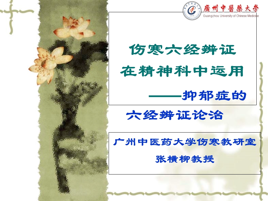 抑郁症的六经辨证论治.ppt_第2页