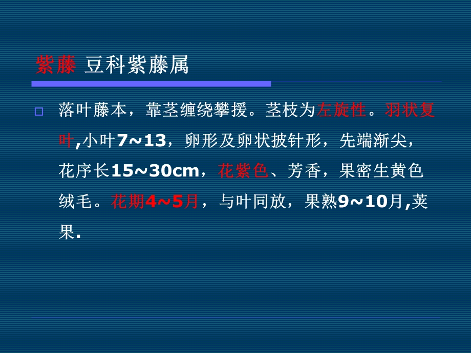 植物种类-蔓木类.ppt_第3页