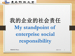 我对企业的社会责任的认识.ppt