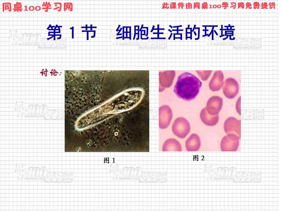 节细胞生活的环境.ppt_第2页