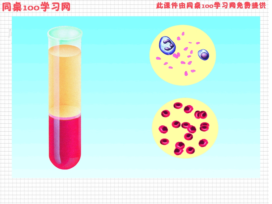 节细胞生活的环境.ppt_第3页