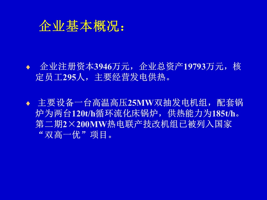 某电厂能源审计案例.ppt_第2页