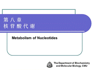 第八章核苷酸代谢4.ppt