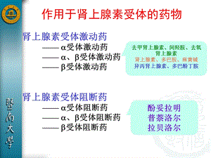 第十章 肾上腺素受体激动药.ppt