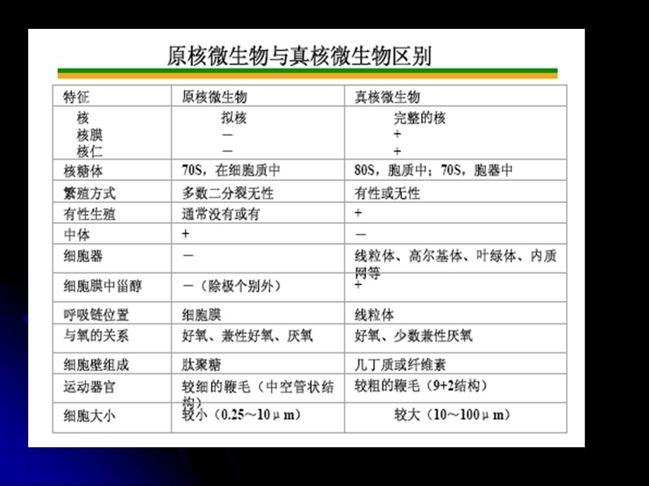 微生物的形态和构造.ppt_第3页