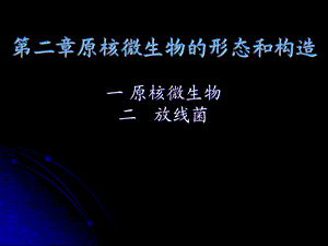 微生物的形态和构造.ppt