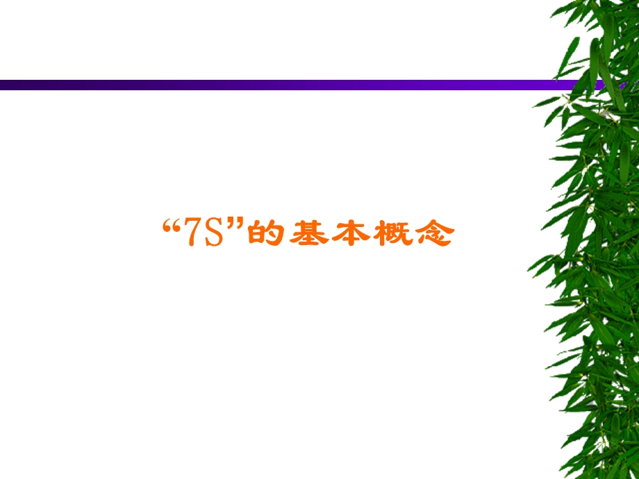 最新7S培训资料w.ppt_第2页