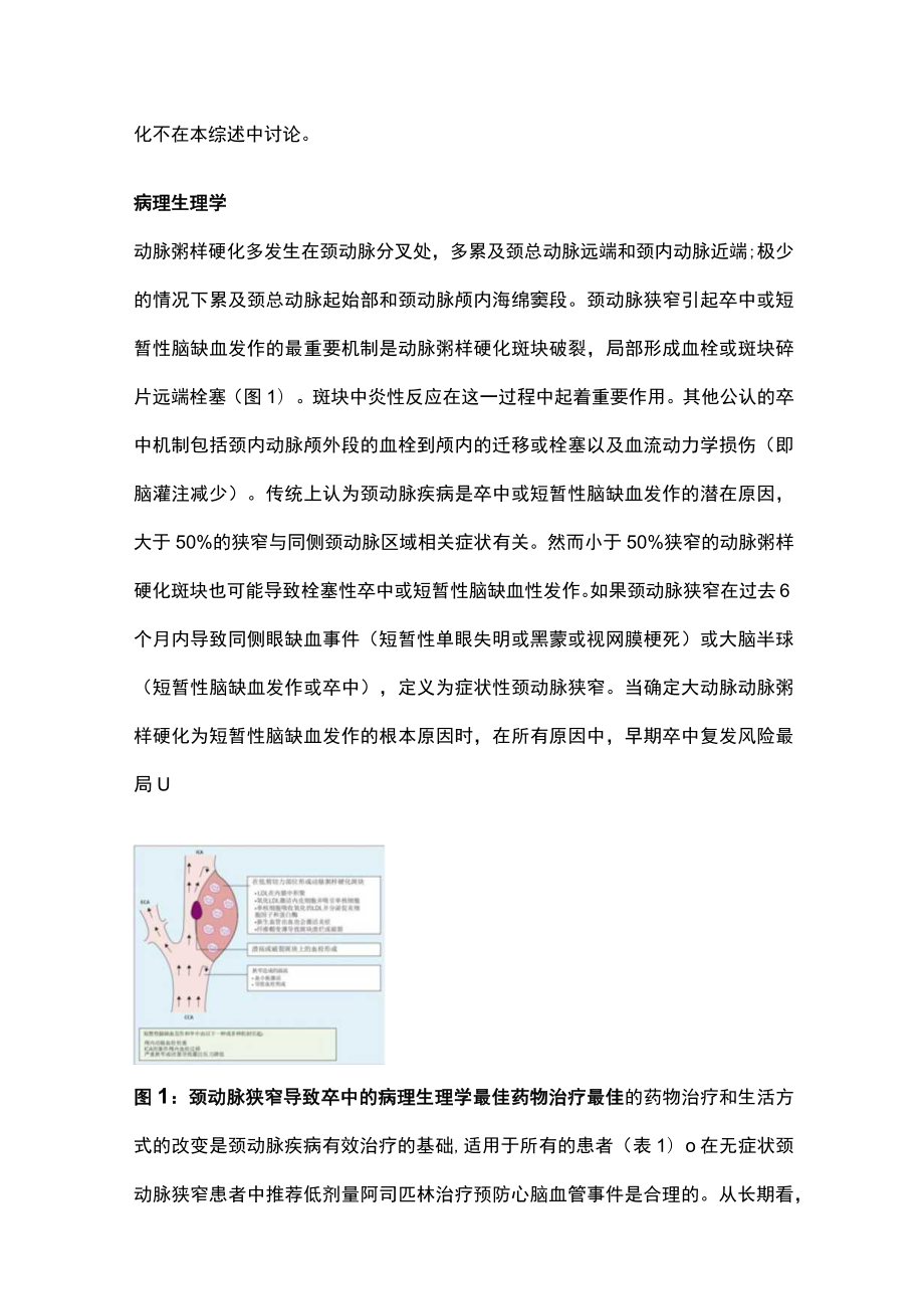 2023动脉粥样硬化性颈动脉狭窄的治疗（全文）.docx_第2页