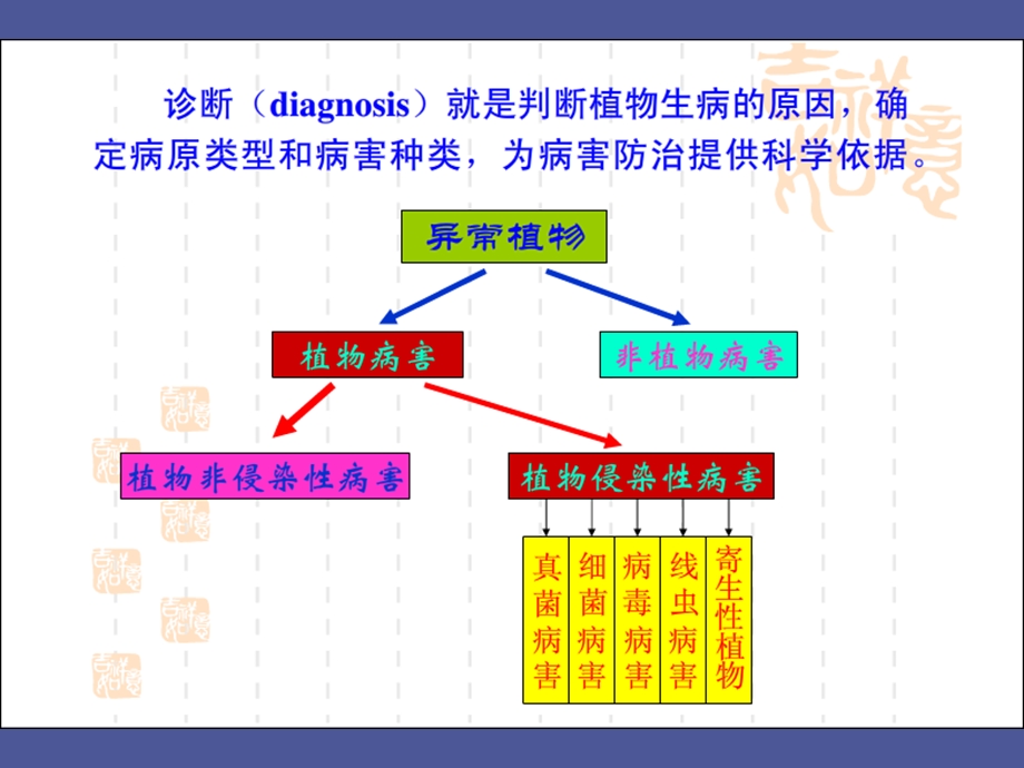 植物病原物的分类和鉴定.ppt_第1页