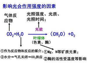 影响光合作用的因素及应用课件.ppt