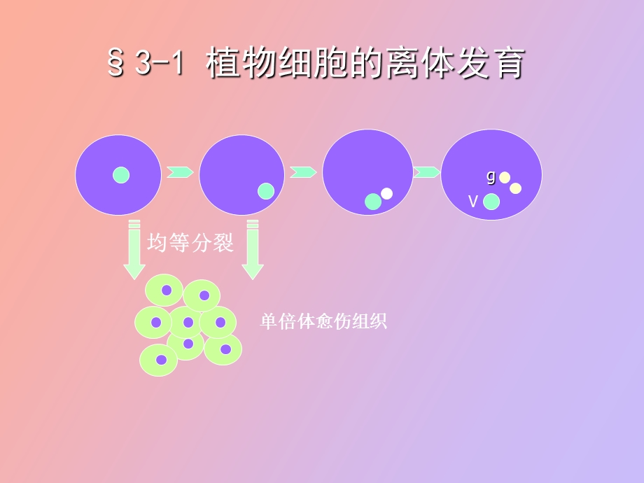 植物细胞工程课程.ppt_第3页