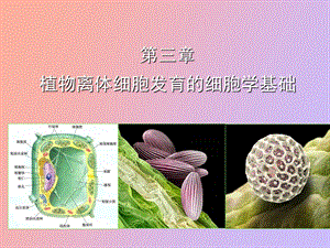 植物细胞工程课程.ppt