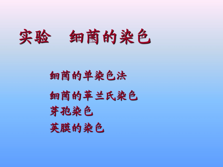 细菌的染色.ppt_第1页