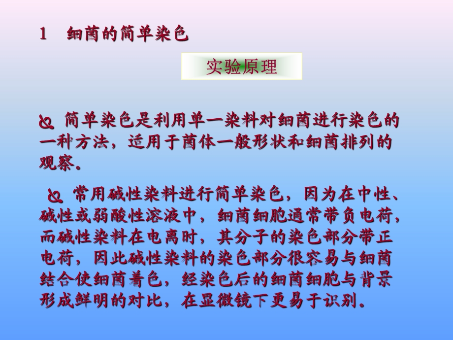 细菌的染色.ppt_第3页