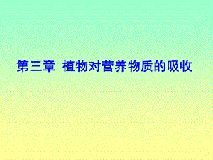 植物对养分的吸收.ppt