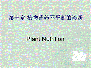 植物营养不平衡的诊断.ppt