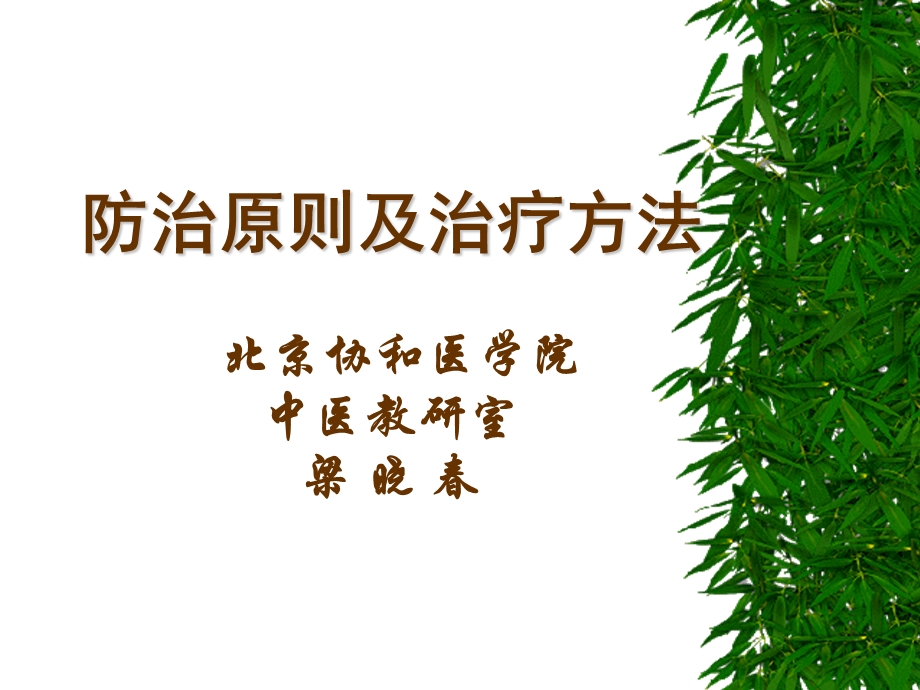 防治原则及治疗方法北京协和医学院中医教研室梁晓.ppt_第1页