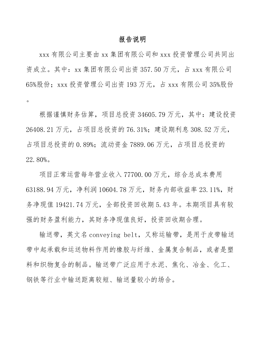 吉林省关于成立输送带公司可行性研究报告模板.docx_第2页