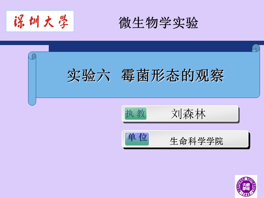 霉菌形态的观察.ppt_第1页