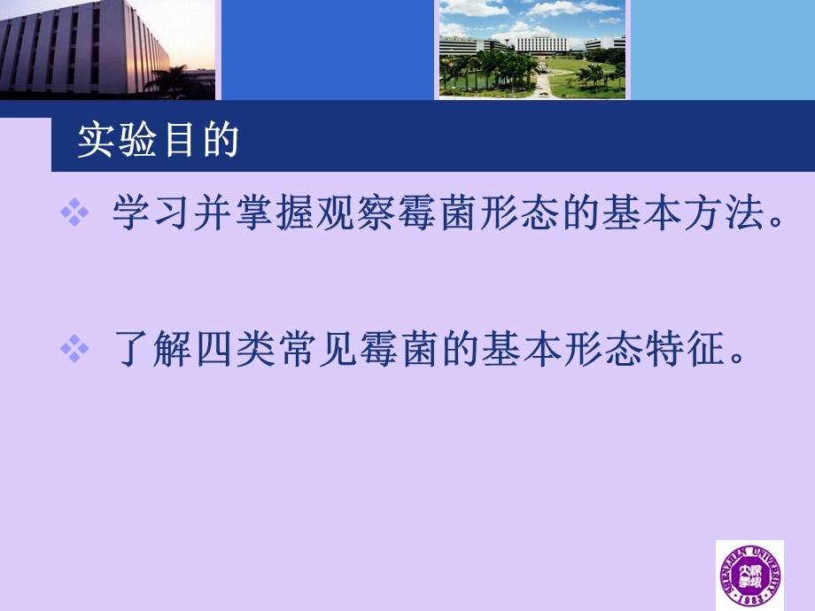 霉菌形态的观察.ppt_第2页