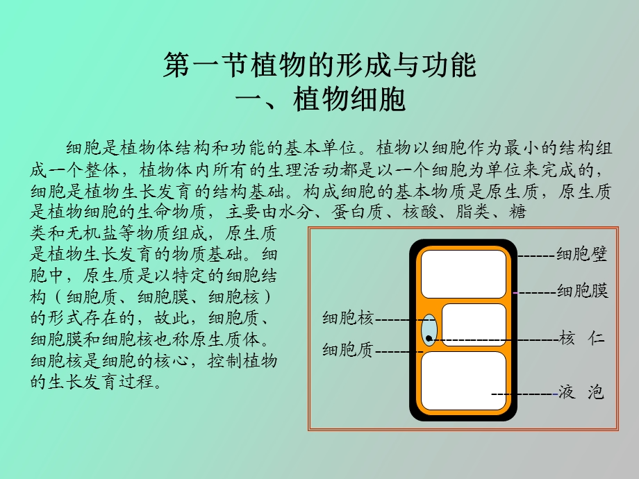 植物生产与环境第一章植物基础知识.ppt_第2页