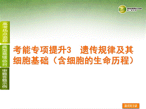 考能专项提升3遗传规律及其细胞基础含细胞生命历程.ppt