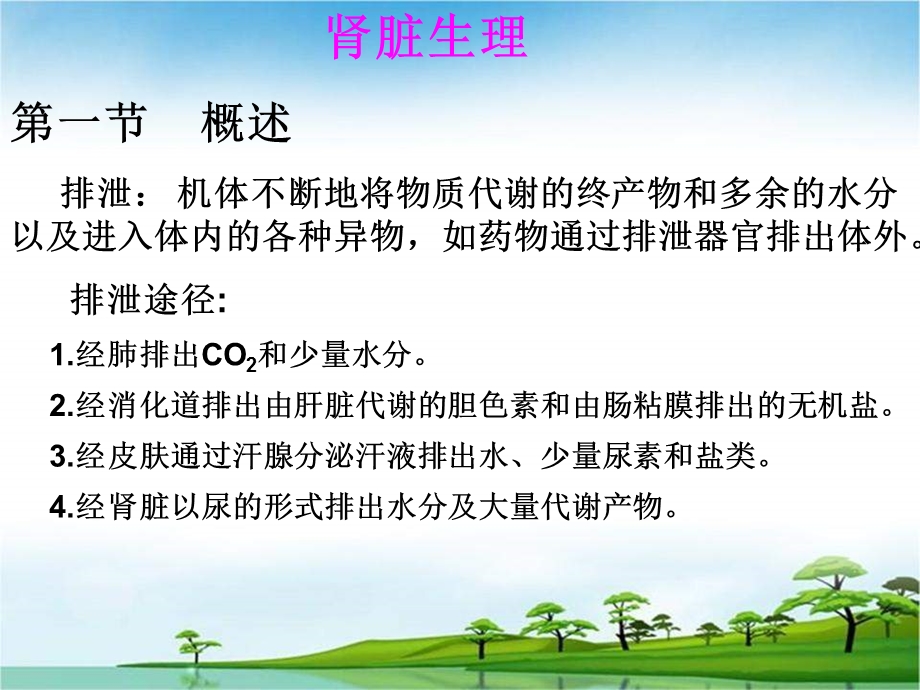 肾脏排泄功能.ppt_第2页